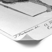 Een Nieuw-Zeelandse krijger Poster (Hoek)