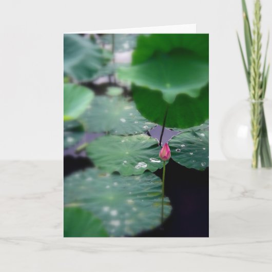 Een nieuwe Dageraad Feestdagen Kaart (Voorkant)