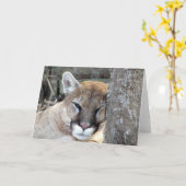 Een nieuwe maandag cougar kaart (Gele Bloem)