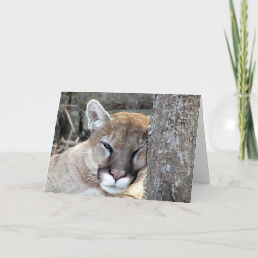 Een nieuwe maandag cougar kaart (Voorkant)