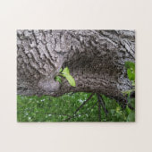 Een nieuwe tak legpuzzel (Horizontaal)