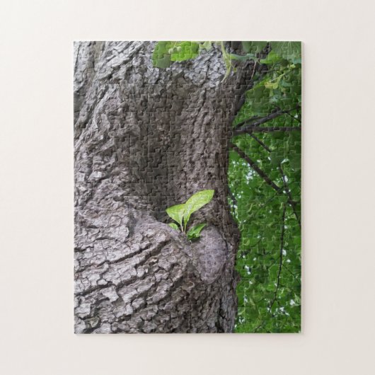 Een nieuwe tak legpuzzel (Verticaal)