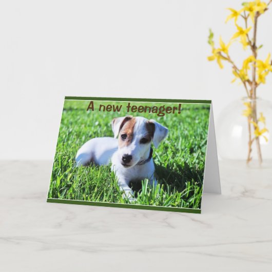 EEN NIEUWE TIENER DRAAIT ***13*** KAART (Gele Bloem)