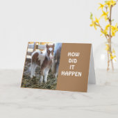 EEN NIEUWE TIENER DRAAIT ***13** KAART (Gele Bloem)