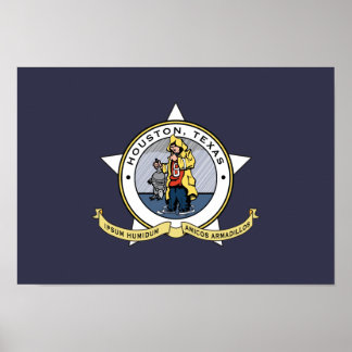 Een nieuwe vlag voor Houston poster