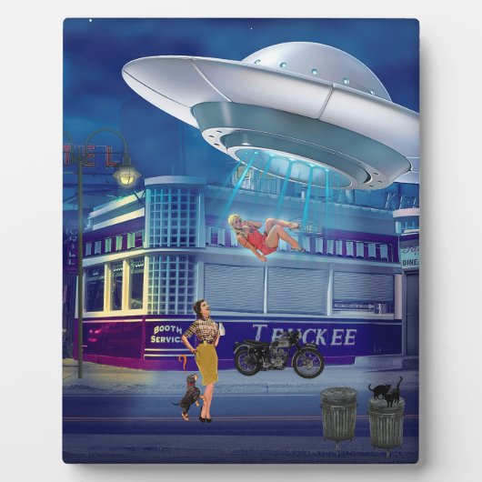 Een nieuwe vliegbegeleider fotoplaat (Voorkant)