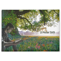 Een nieuwe wereldmagneet