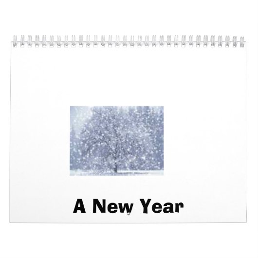 Een nieuwjaar kalender (Hoes)