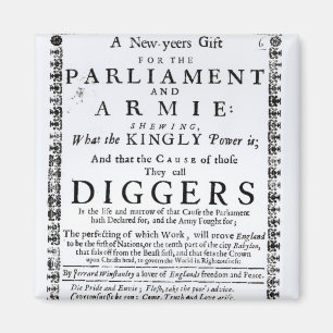 Een nieuwjaarsgeschenk magneet