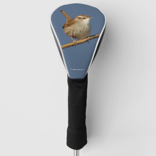 Een nieuwsgierig Bewick's Wren in de boom Golfheadcover (Voorkant)