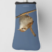 Een nieuwsgierig Bewick's Wren in de boom Golfheadcover (Draai 90)