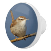 Een nieuwsgierig Bewick's Wren in de boom Keramische Knop (Rechts)