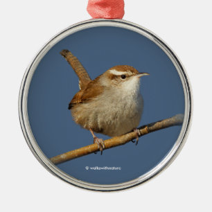 Een nieuwsgierig Bewick's Wren in de boom Metalen Ornament