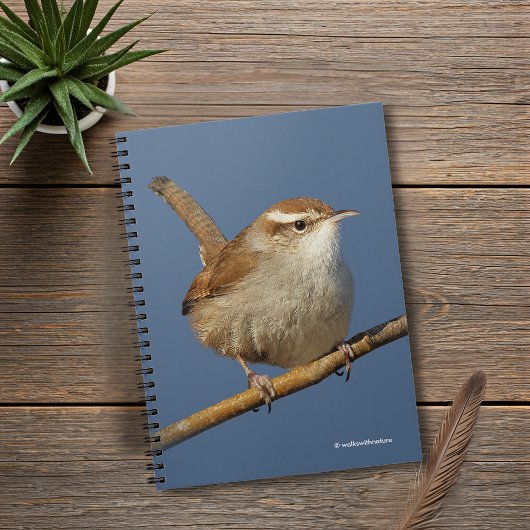 Een nieuwsgierig Bewick's Wren in de boom Notitieboek