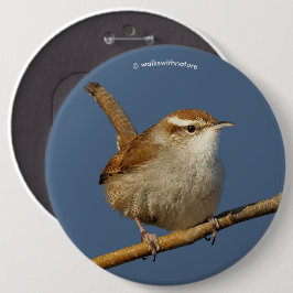 Een nieuwsgierig Bewick's Wren in de boom Ronde Button 6,0 Cm