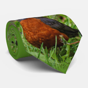 Een nieuwsgierige Amerikaanse Robin Stropdas