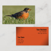 Een nieuwsgierige Amerikaanse Robin Visitekaartje (Voorkant / Achterkant)