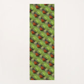 Een nieuwsgierige Amerikaanse Robin Yogamat (Voorkant)