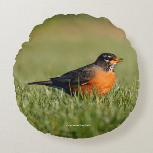 Een nieuwsgierige Amerikaanse roodborst Rond Kussen