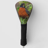 Een nieuwsgierige en hoopvolle Amerikaanse Robin Golfheadcover (Voorkant)