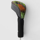 Een nieuwsgierige en hoopvolle Amerikaanse Robin Golfheadcover (Schuin)