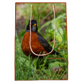 Een nieuwsgierige en hoopvolle Amerikaanse Robin Medium Cadeauzakje (Achterkant)