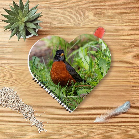 Een nieuwsgierige en hoopvolle Amerikaanse Robin Notitieboek