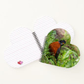 Een nieuwsgierige en hoopvolle Amerikaanse Robin Notitieboek (Binnen)