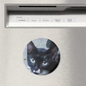 Een nieuwsgierige kat achter een deur magneet (Insitu (Vaatwasser))