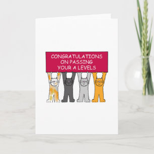 Een niveau doorgeven Gefeliciteerd Kaart