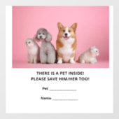 Eén noodredmiddel voor een pakket raamsticker (Vel)