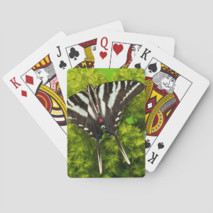 Een Noord-Amerikaanse Pages Papilio Vlinder Pokerkaarten