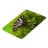 Een Noord-Amerikaanse Swallowtail Butterfly Magneet (Linkerzijde)