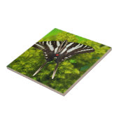 Een Noord-Amerikaanse Swallowtail Butterfly Tegeltje (Zijkant)