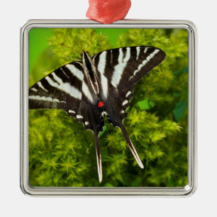 Een Noord-Amerikaanse Swallowtail Vlinder Metalen Ornament