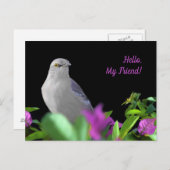 Een Noordelijke Mocking Bird met Paarse en groene  Briefkaart (Voorkant / Achterkant)