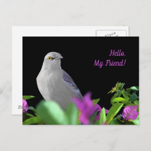 Een Noordelijke Mocking Bird met Paarse en groene  Briefkaart (Voorkant / Achterkant)