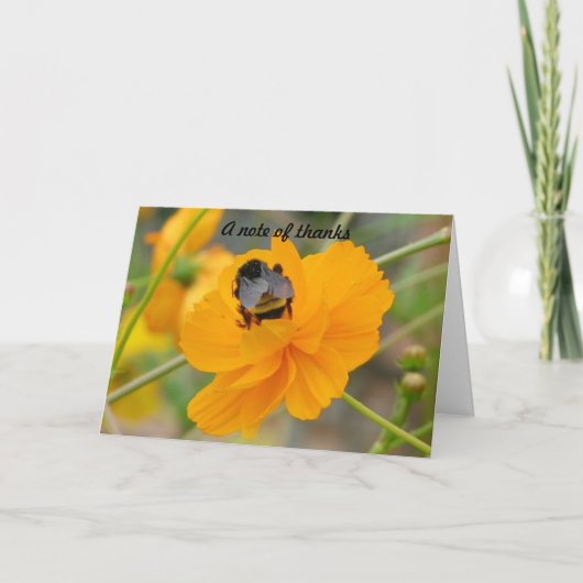 Een notitie van bedankt (Voorkant)