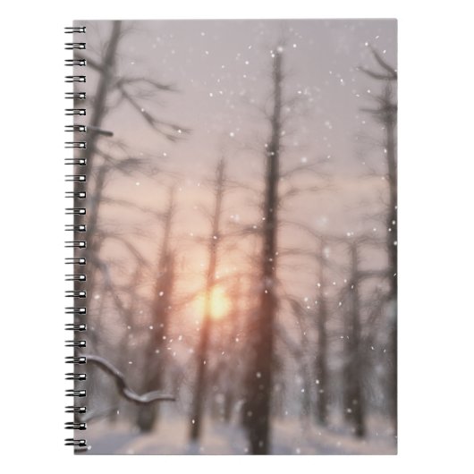 Een Notitieboek van de Dream van de Winternacht (Voorkant)