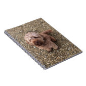 Een Notitieboek van Super Sweet Cavapoo (Rechterzijde)