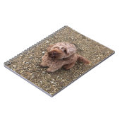 Een Notitieboek van Super Sweet Cavapoo (Linkerzijde)
