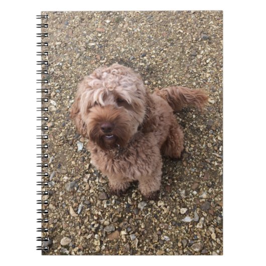Een Notitieboek van Super Sweet Cavapoo (Voorkant)