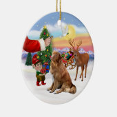 Een Nova Scotia Duck Tolling Retriever Keramisch Ornament (Rechts)