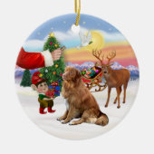 Een Nova Scotia Duck Tolling Retriever Keramisch Ornament (Voorkant)