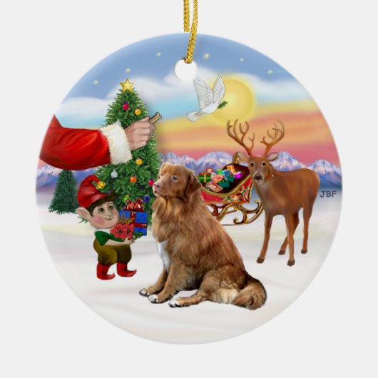 Een Nova Scotia Duck Tolling Retriever Keramisch Ornament (Voorkant)