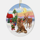 Een Nova Scotia Duck Tolling Retriever Keramisch Ornament (Links)