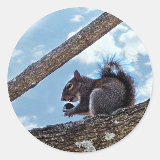 Een Nut aangenaam Ronde Sticker (Voorkant)