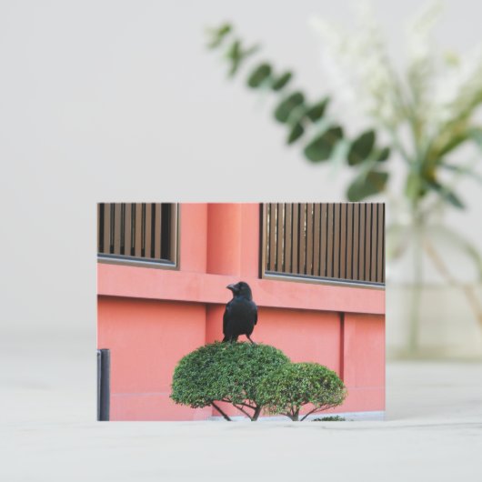 Een Oerwoud met grote vulling bedekt een baars op  Briefkaart (Staand voorkant)