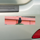 Een Oerwoud met grote vulling bedekt een baars op  Bumpersticker (Op auto)