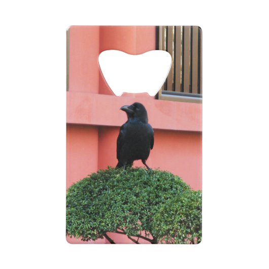 Een Oerwoud met grote vulling bedekt een baars op  Creditkaart Flessenopener (Voorkant)